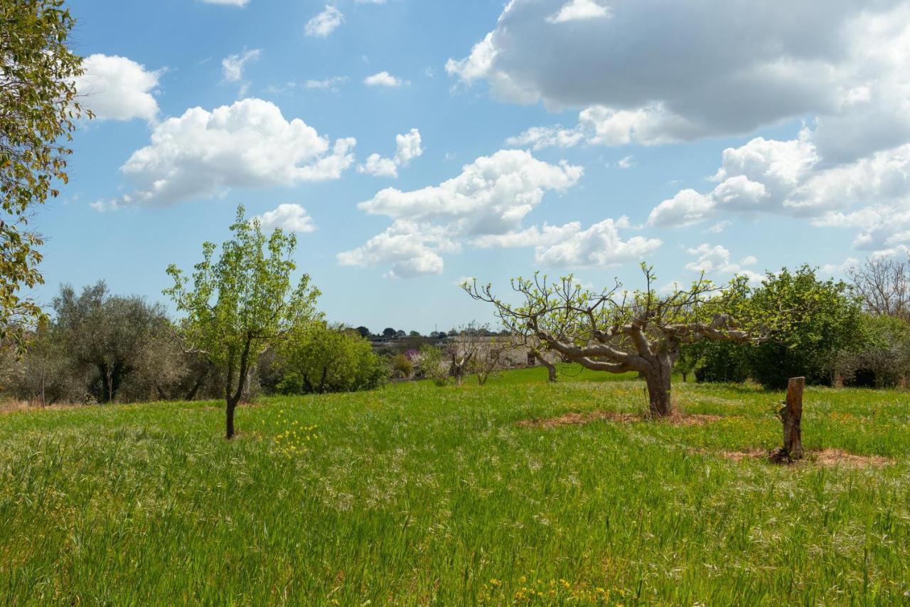 Trulli Da Rosy Vakantiehuis *